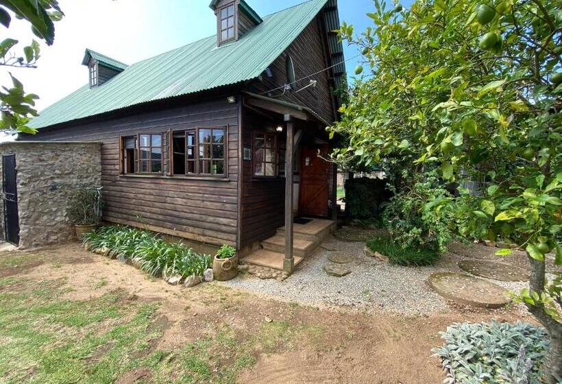 بنسيون Bohemian Garden Cottages