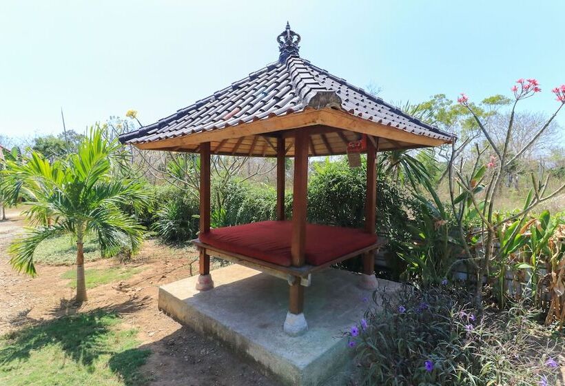 Uma Hostel Lembongan