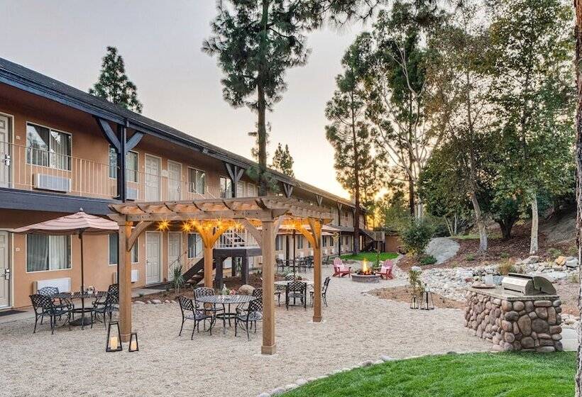 בית מלון כפרי Ayres Lodge Alpine