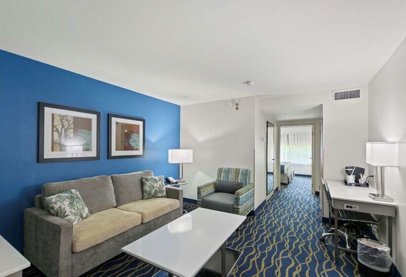 هتل Best Western Plus Lake Lanier Gainesville  And Suites