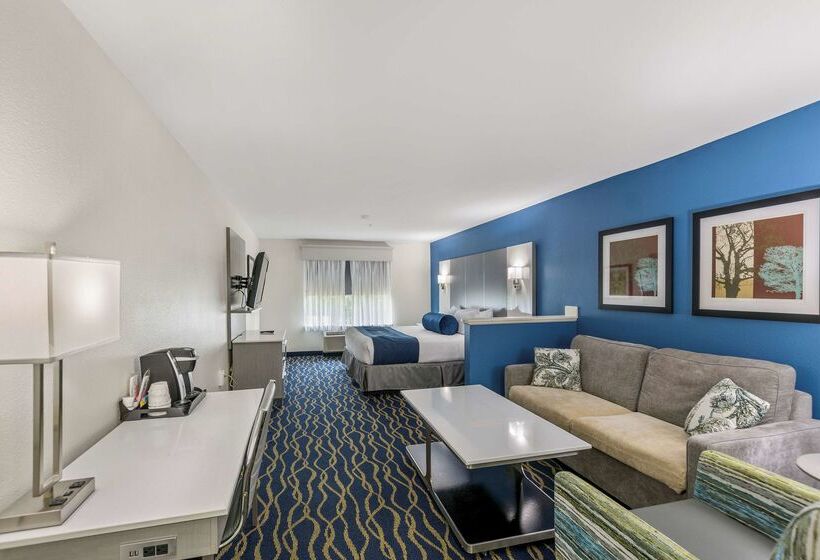 هتل Best Western Plus Lake Lanier Gainesville  And Suites