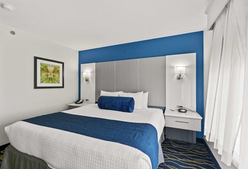 Hotell Best Western Plus Lake Lanier Gainesville  And Suites