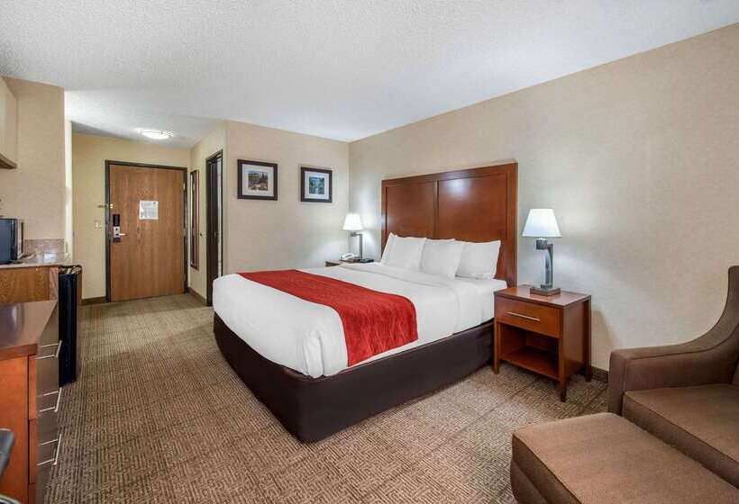 ホテル Comfort Inn Denver Southeast Area