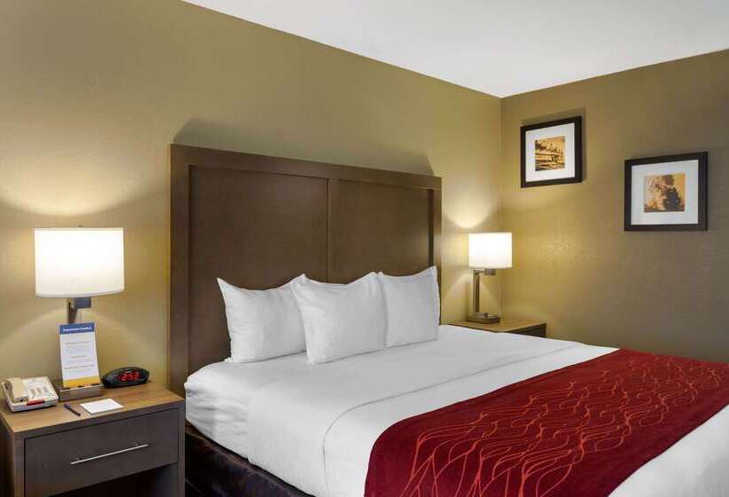 酒店 Comfort Inn Marshall Station