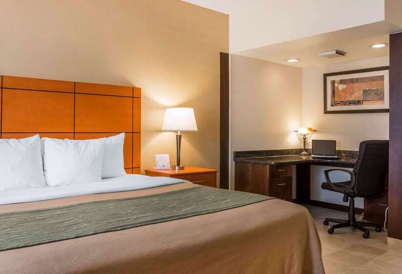 هتل Comfort Inn Metro Airport