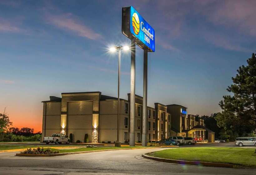 هتل Comfort Inn Metro Airport