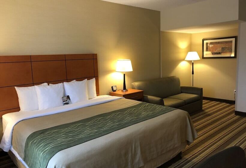 Hotel Comfort Inn Metro Airport