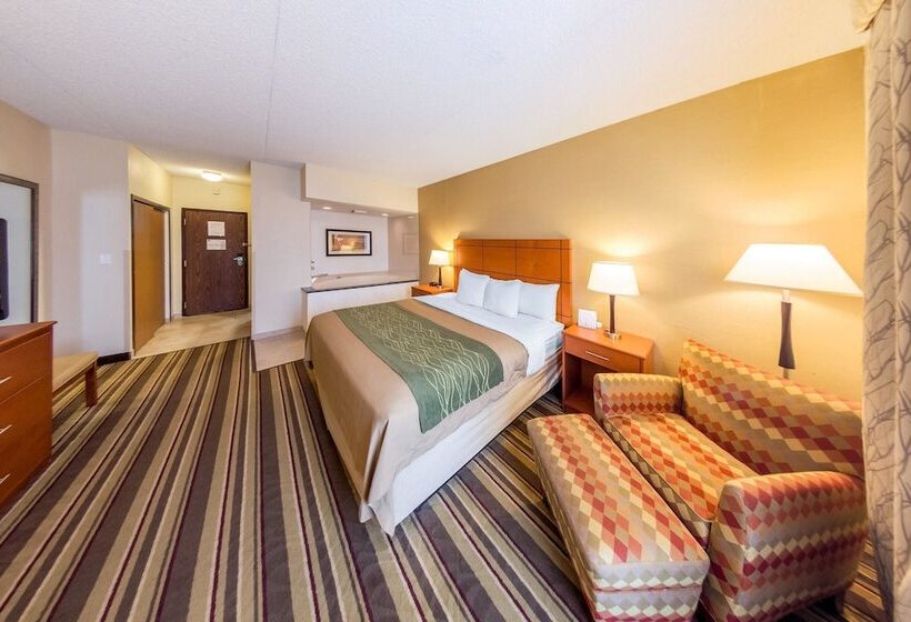 هتل Comfort Inn Metro Airport