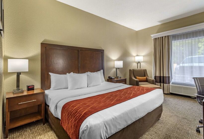 Hôtel Comfort Inn South Kingsport