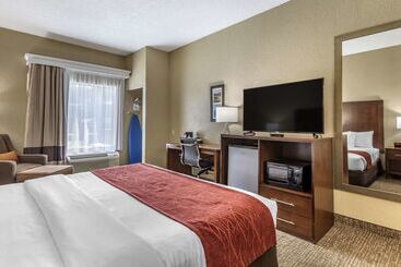 Hôtel Comfort Inn South Kingsport