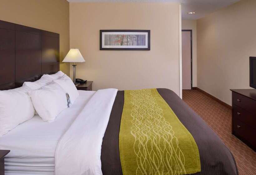 هتل Comfort Inn & Suites