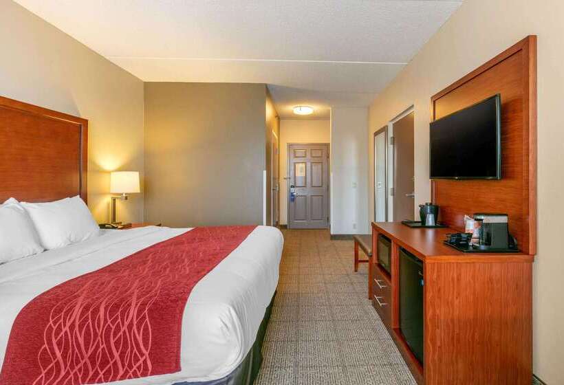 ホテル Comfort Inn & Suites Nashville Franklin Cool Springs