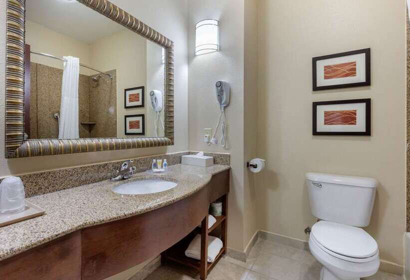 هتل Comfort Inn & Suites North Little Rock Mccain Mall