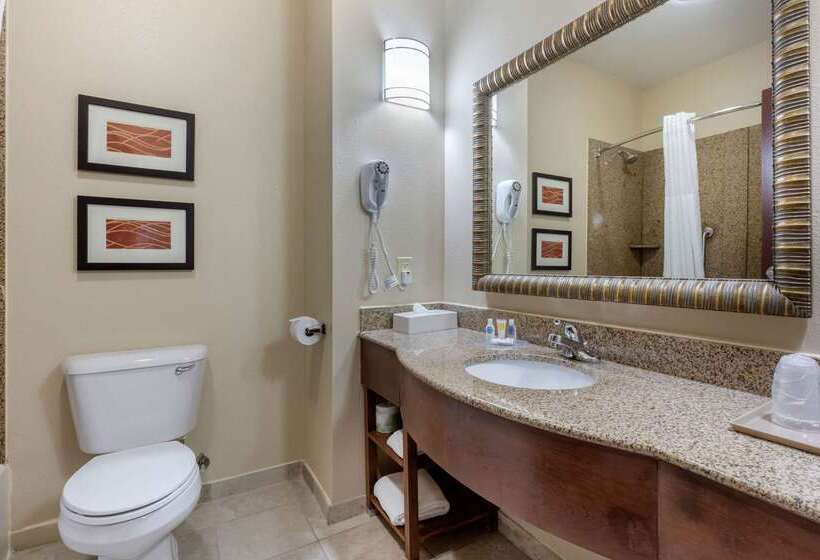 هتل Comfort Inn & Suites North Little Rock Mccain Mall