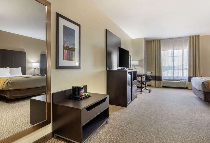 ホテル Comfort Inn & Suites North Little Rock Mccain Mall