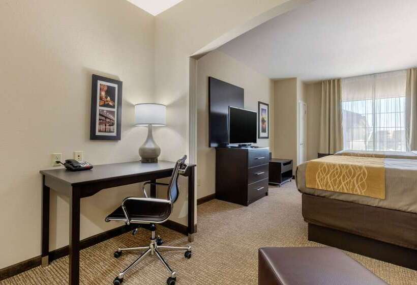 ホテル Comfort Inn & Suites North Little Rock Mccain Mall