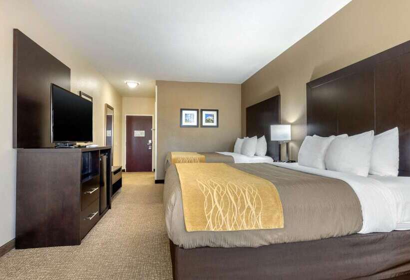 ホテル Comfort Inn & Suites North Little Rock Mccain Mall