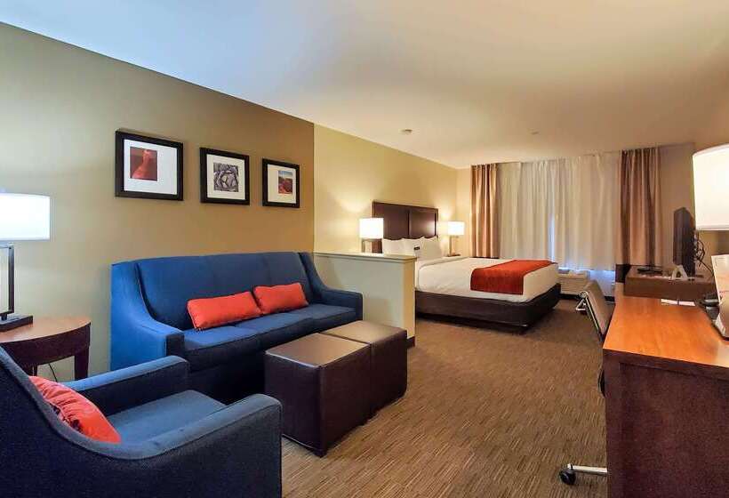 هتل Comfort Inn & Suites Tempe Phoenix Sky Harbor Airport