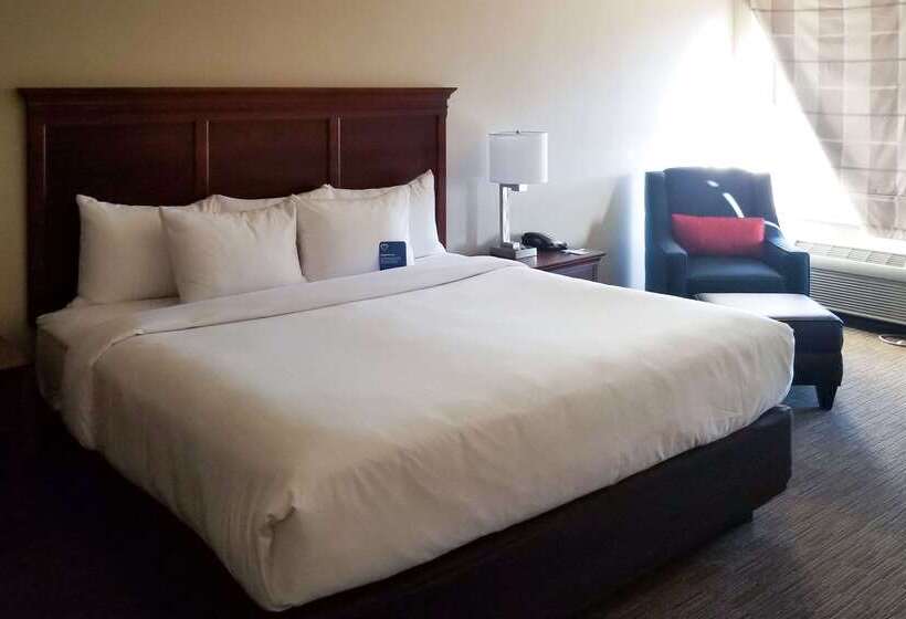 هتل Comfort Inn & Suites Tempe Phoenix Sky Harbor Airport