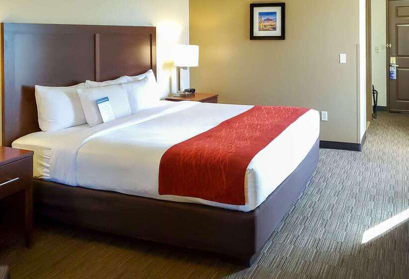 هتل Comfort Inn & Suites Tempe Phoenix Sky Harbor Airport