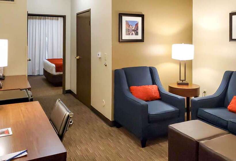 هتل Comfort Inn & Suites Tempe Phoenix Sky Harbor Airport