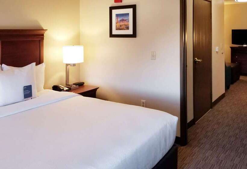 هتل Comfort Inn & Suites Tempe Phoenix Sky Harbor Airport