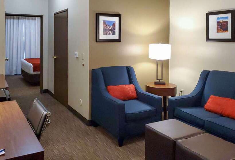 هتل Comfort Inn & Suites Tempe Phoenix Sky Harbor Airport