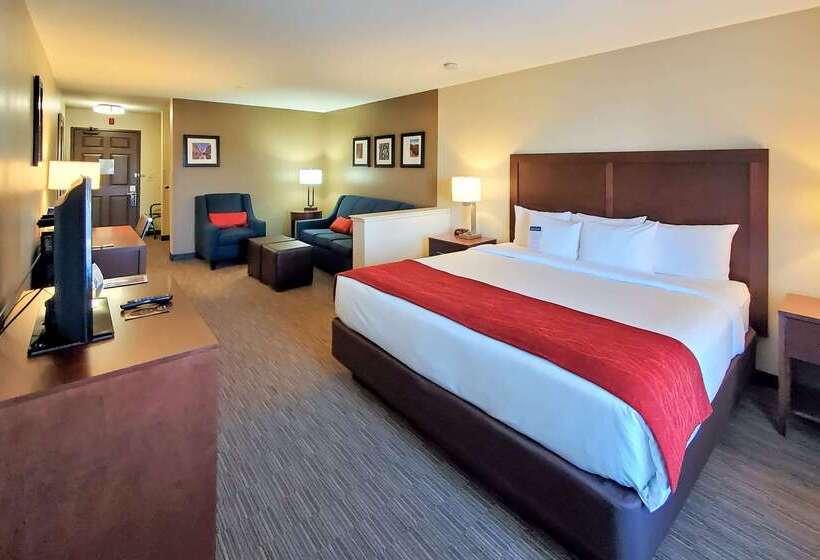 호텔 Comfort Inn & Suites Tempe Phoenix Sky Harbor Airport