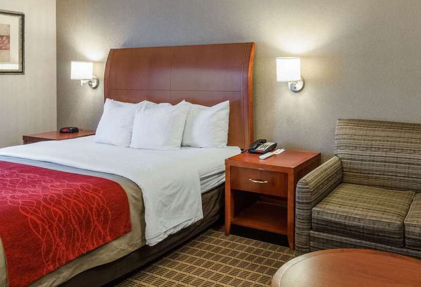 Hotel Comfort Inn & Suites