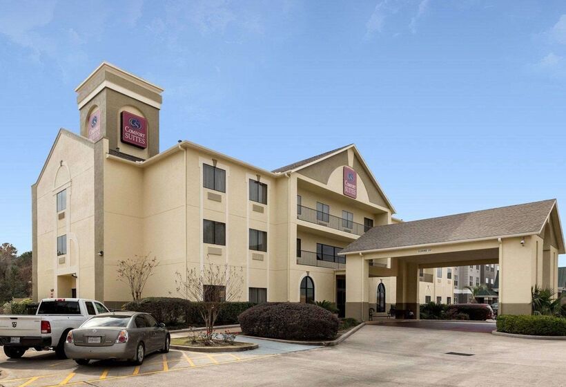 Fotos del hotel Comfort Suites Bush Intercontinental Airport:  50
