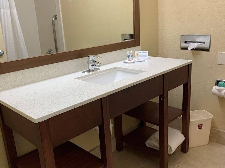 Fotos del hotel Comfort Suites Bush Intercontinental Airport:  20
