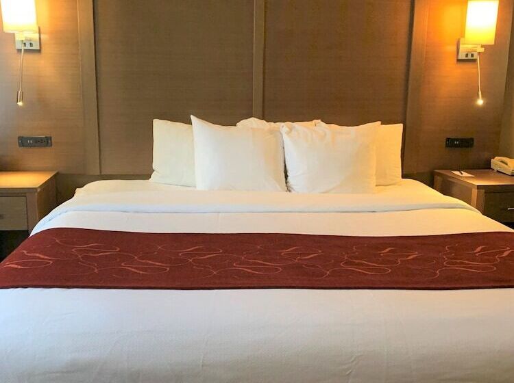 Fotos del hotel Comfort Suites Bush Intercontinental Airport:  5