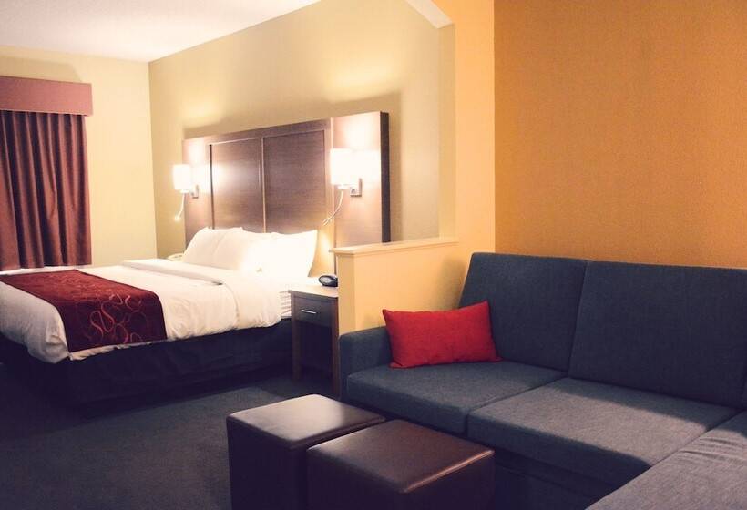 Fotos del hotel Comfort Suites Bush Intercontinental Airport:  6