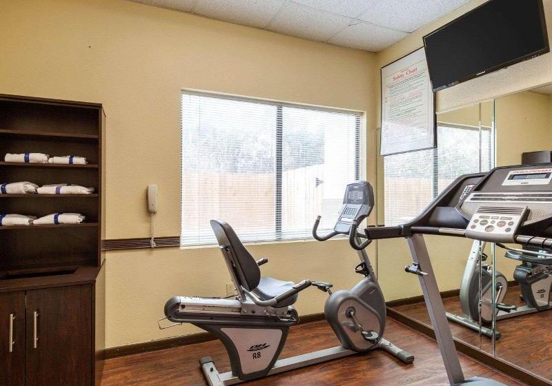 Fotos del hotel Comfort Suites Bush Intercontinental Airport:  52