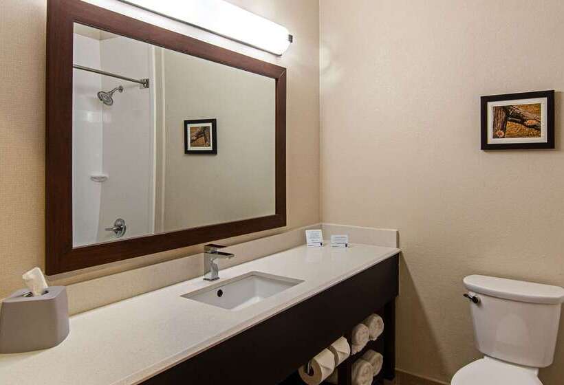 בית מלון כפרי Comfort Suites Nw Dallas Near Love Field