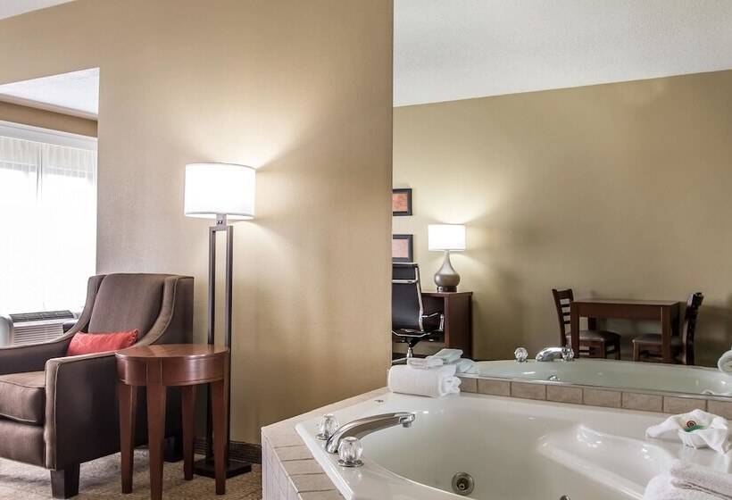 בית מלון כפרי Comfort Suites Effingham