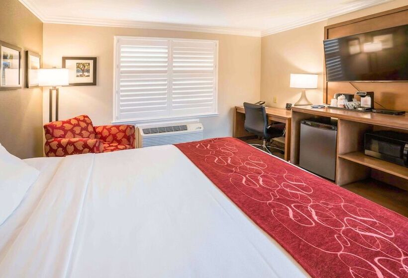 هتل Comfort Suites Fresno River Park
