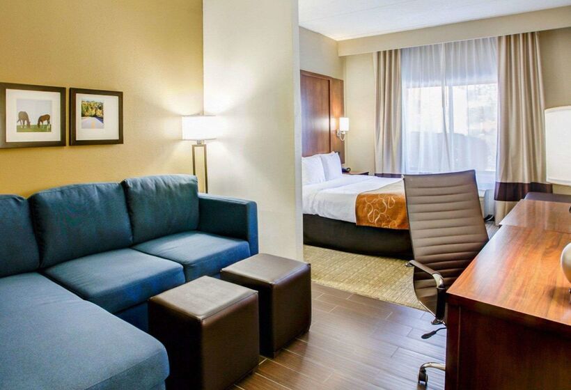 هتل Comfort Suites Georgetown