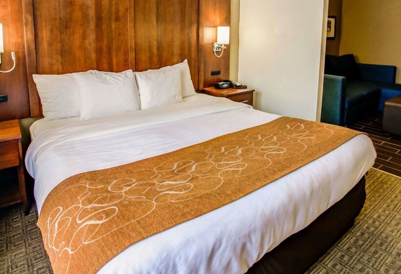 Hotel Comfort Suites Georgetown
