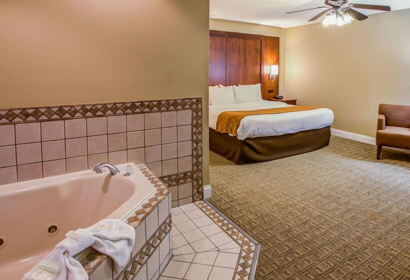 Hotel Comfort Suites Georgetown