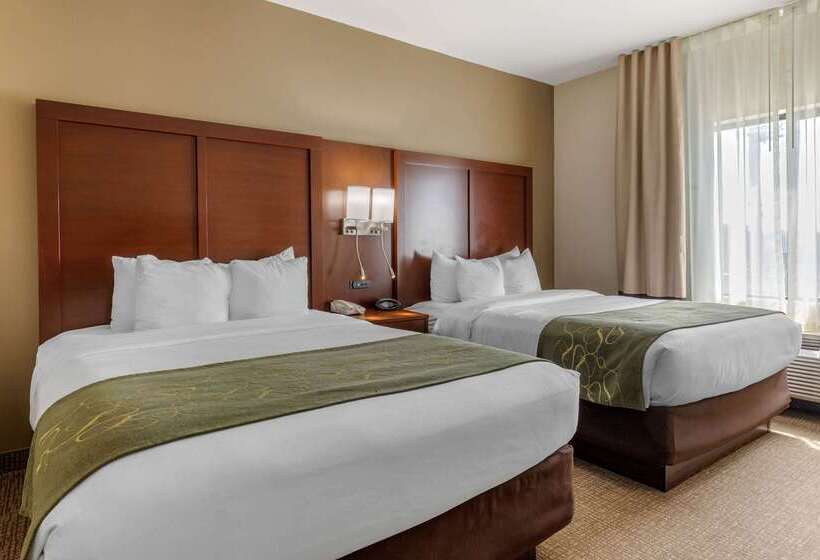 هتل Comfort Suites Johnson City Near University