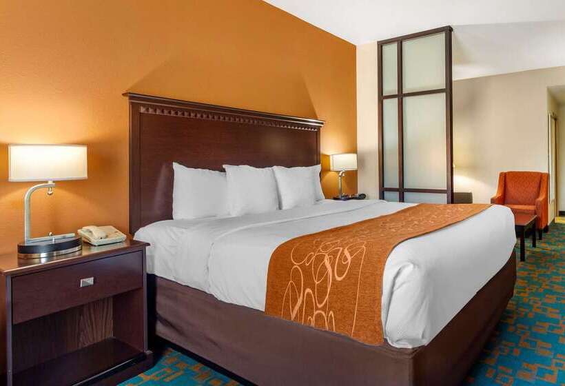 酒店 Comfort Suites Knoxville West Farragut