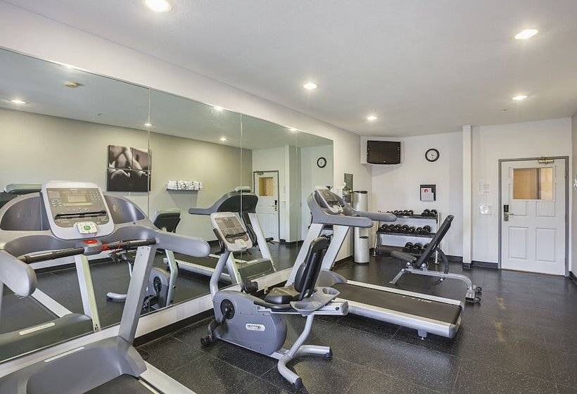 ホテル Comfort Suites Lewisville