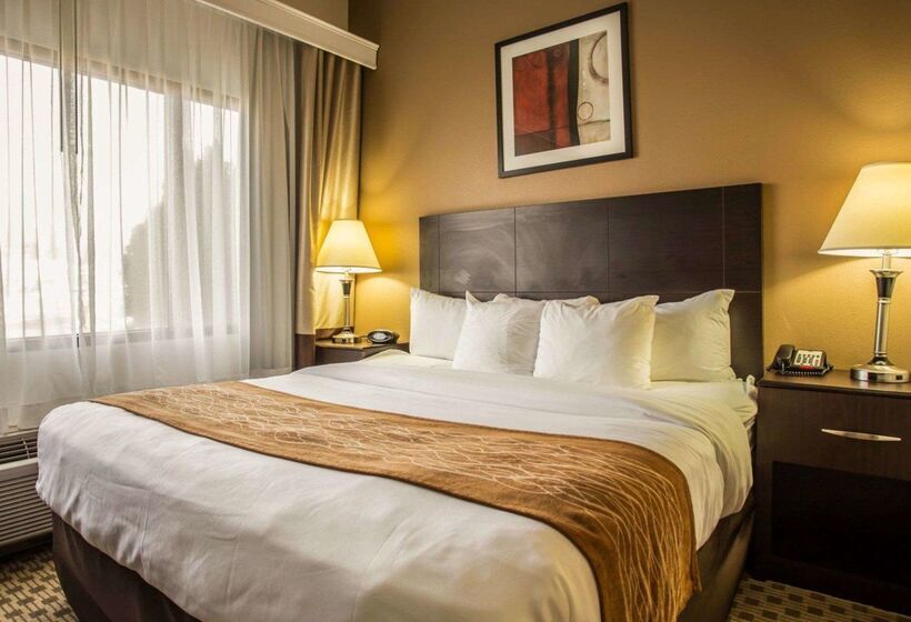 فندق Comfort Suites