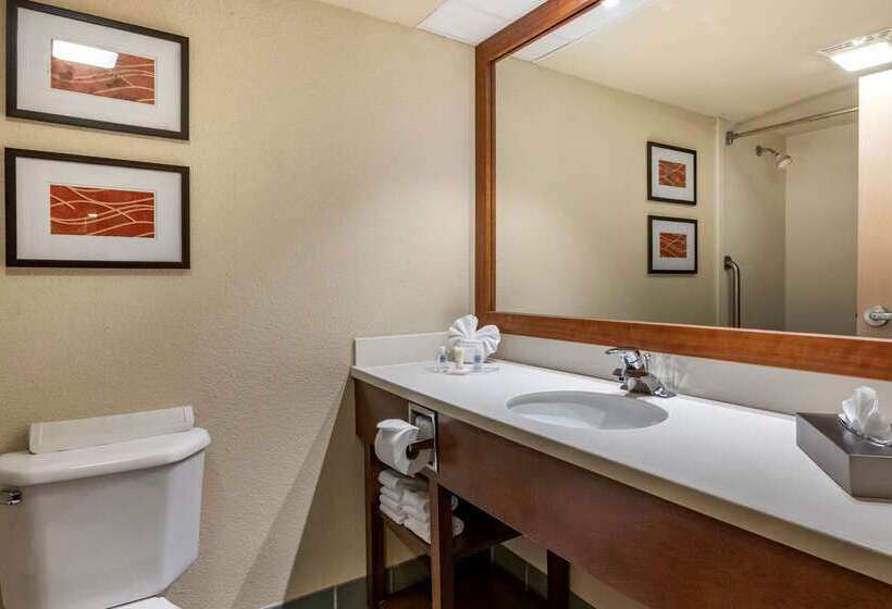Fotos del hotel Comfort Suites Miami  Kendall:  23