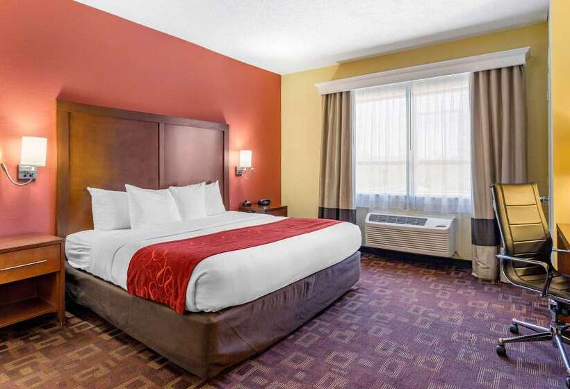 Fotos del hotel Comfort Suites Houston Galleria:  5