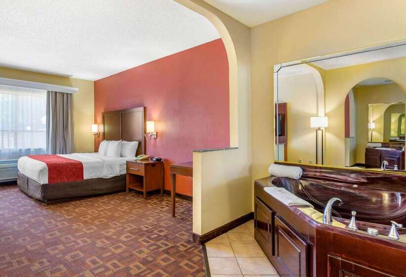 Fotos del hotel Comfort Suites Houston Galleria:  6