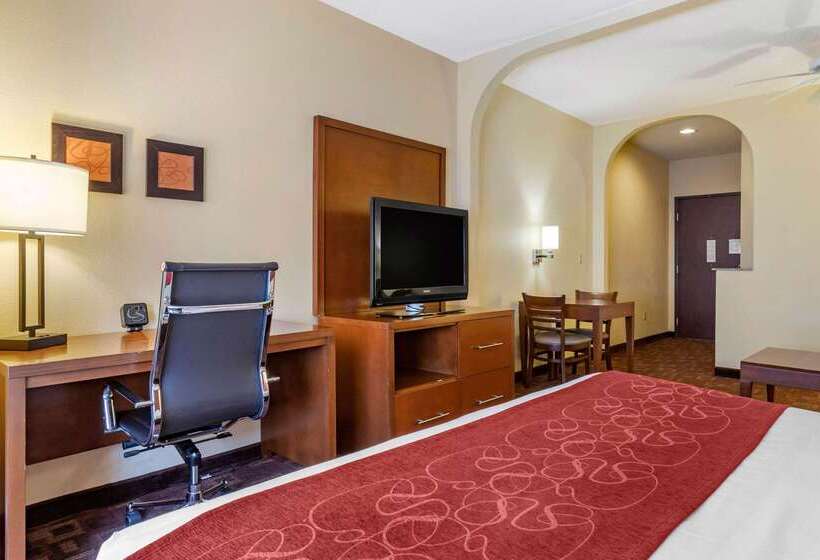 Fotos del hotel Comfort Suites Houston Galleria:  13