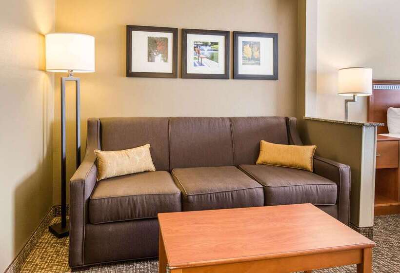 هتل Comfort Suites Normal University Area