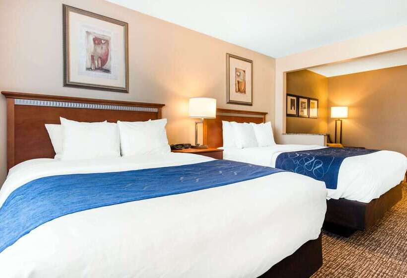 هتل Comfort Suites Normal University Area